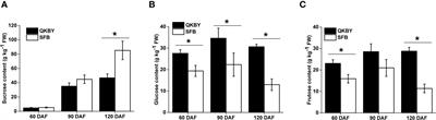 Comparative transcriptome analysis identifies candidate genes related to sucrose accumulation in longan (Dimocarpus longan Lour.) pulp